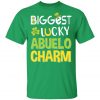 Biggest-Lucky Big Sis Charm Saint Patricks Day T-Shirt, Bella