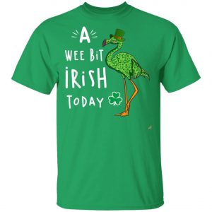 A Wee Bit Irish Today Flamingo Leprechaun St Patricks Day Shirt, Tank Top