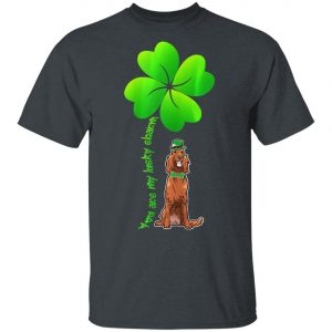 Womens Leprechaun Irish Setter Are My Lucky Charm Clover Patrick T-Shirt, Long Sleeve, Hoodie