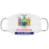 Sarcastic My Governor Is An Idiot New York Politics Face Mask