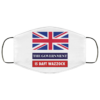 The Government Are Idiots Wales UK Funny Politics Face Mask