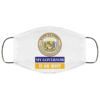 Sarcastic My Governor Is An Idiot Hawaii Politics Face Mask