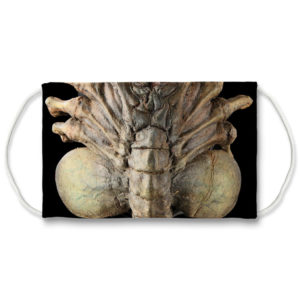 Facehugger from Alien Aliens and Prometheus Alien Resurrection Face Mask