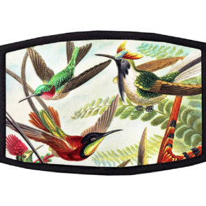 Hummingbird Face Mask