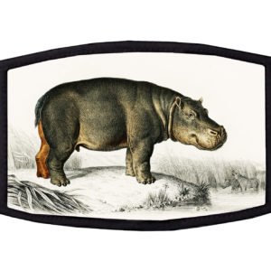 Hippopotamus Face Mask