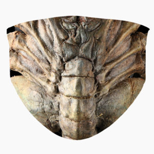 Facehugger from Alien Aliens and Prometheus Alien Resurrection Face Mask