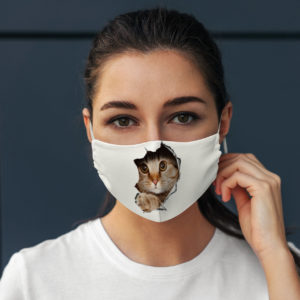Funny Cute Cat Waiting Behind Mouse Hole Wall Face Mask