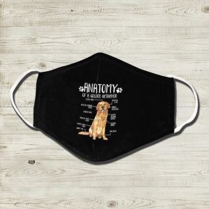 Anatomy Of A Golden Retriver Face Mask