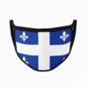 New Brunswick Flag Mouth Face Mask