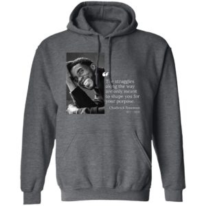 Wakanda Forever Black Panther Chadwick Boseman T-Shirt