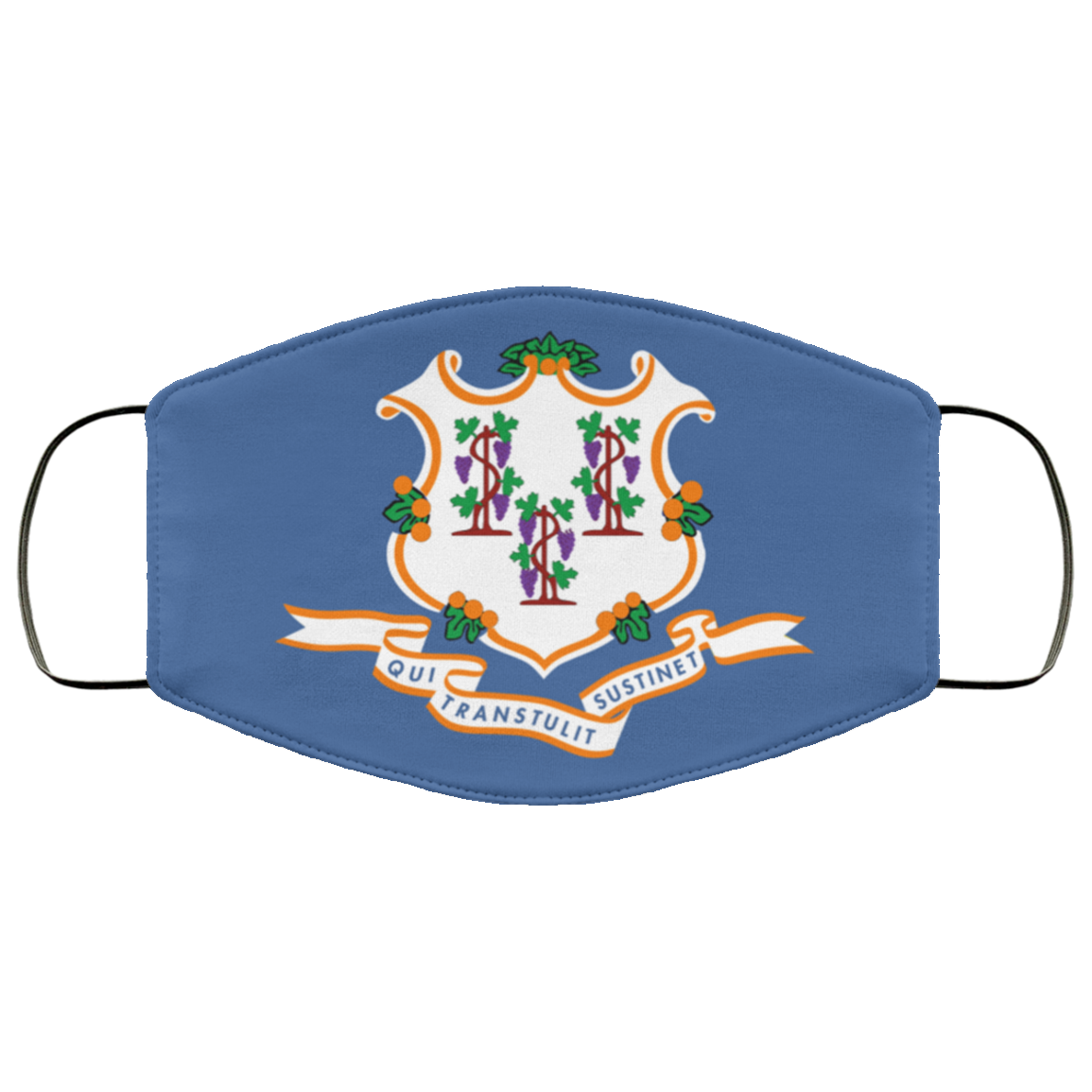 Flag of Connecticut state Cloth Face Mask Reusable