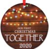 Our First Pandemic 2020 Funny Quarantine Lockdown Christmas Ornament