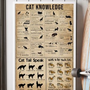 Cat Knowledge Vintage Poster, Canvas