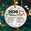 2020 A True American-Horror Story Decorative Christmas Ornament – Funny Holiday Gift
