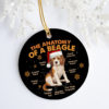 The Year Our Asses Stayed Home Funny Quarantine Pandemic 2020 Christmas Ornament