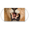 American Bald Eagle Face Mask