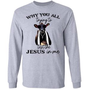 Why You All Trying To Test The Jesus In Me Pastor Cow T-Shirt, LS, Hoodie
