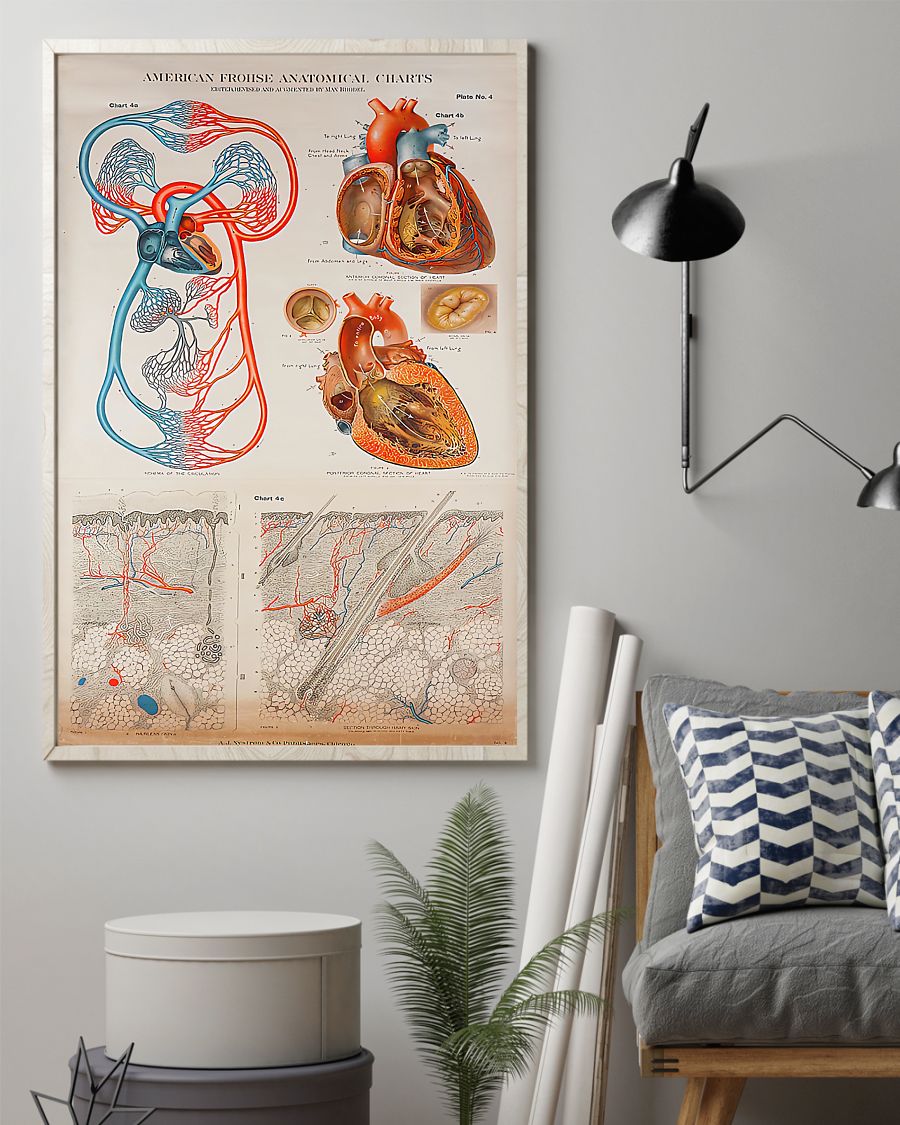 Human Heart Anatomical Cardiologist Poster, Canvas Human Heart Anatomical Cardiologist Poster, Canvas