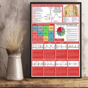 Anatomy Of The ECG Waveform Cardiologist Poster, Canvas