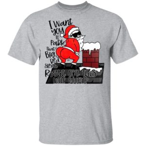 Santa Claus I Want You To Park That Big Red And Light Right On This Rooftop Christmas Sweatshirt