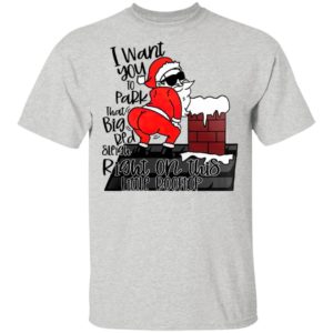Santa Claus I Want You To Park That Big Red And Light Right On This Rooftop Christmas Sweatshirt