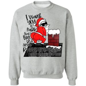 Santa Claus I Want You To Park That Big Red And Light Right On This Rooftop Christmas Sweatshirt