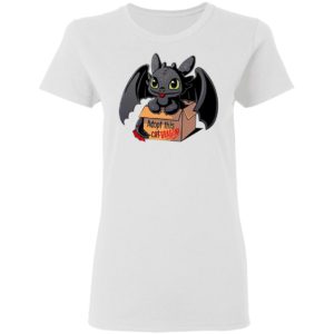 Adopt This Dragon Shirt, Hoodie, Long Sleeve, Hoodie