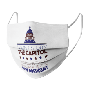 I Didnt Storm The Capitol face mask