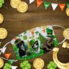 St Patrick’s Day Leprechaun Hat Boots Face Mask