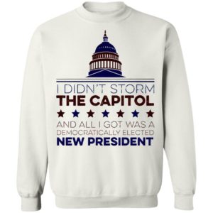 I Didn’t Storm The Capitol Shirt