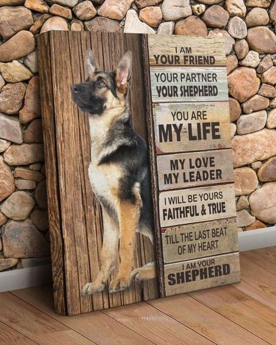 I am your friend partner your shepherd you are my life love leader i will be faithful true till last beat of heart Poster Canvas I am your friend partner your shepherd you are my life love leader i will be faithful true till last beat of heart Poster Canvas