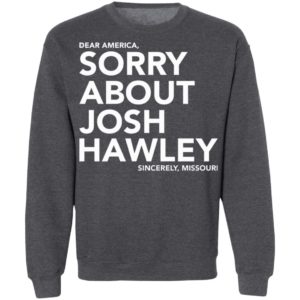 Dear America Sorry About Josh Hawley Shirt