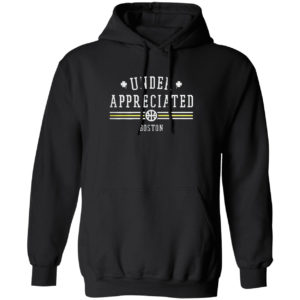 Underappreciated Boston shirt