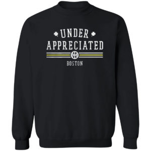 Underappreciated Boston shirt