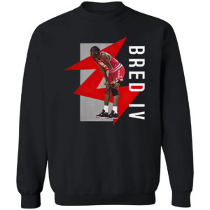 Jordan #23 Bred IV shirt