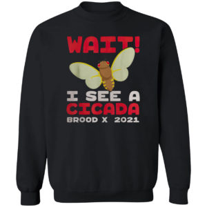 Wait I See A Cicada Bug Brood X 2021 Insect Shirt