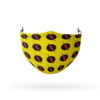 Teenage Mutant Ninja Turtles Surprise Reusable Cloth Face Mask