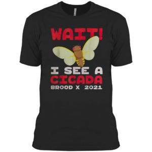 Wait I See A Cicada Bug Brood X 2021 Insect Shirt