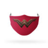 Batman Stormy Knight Reusable Cloth Face Mask