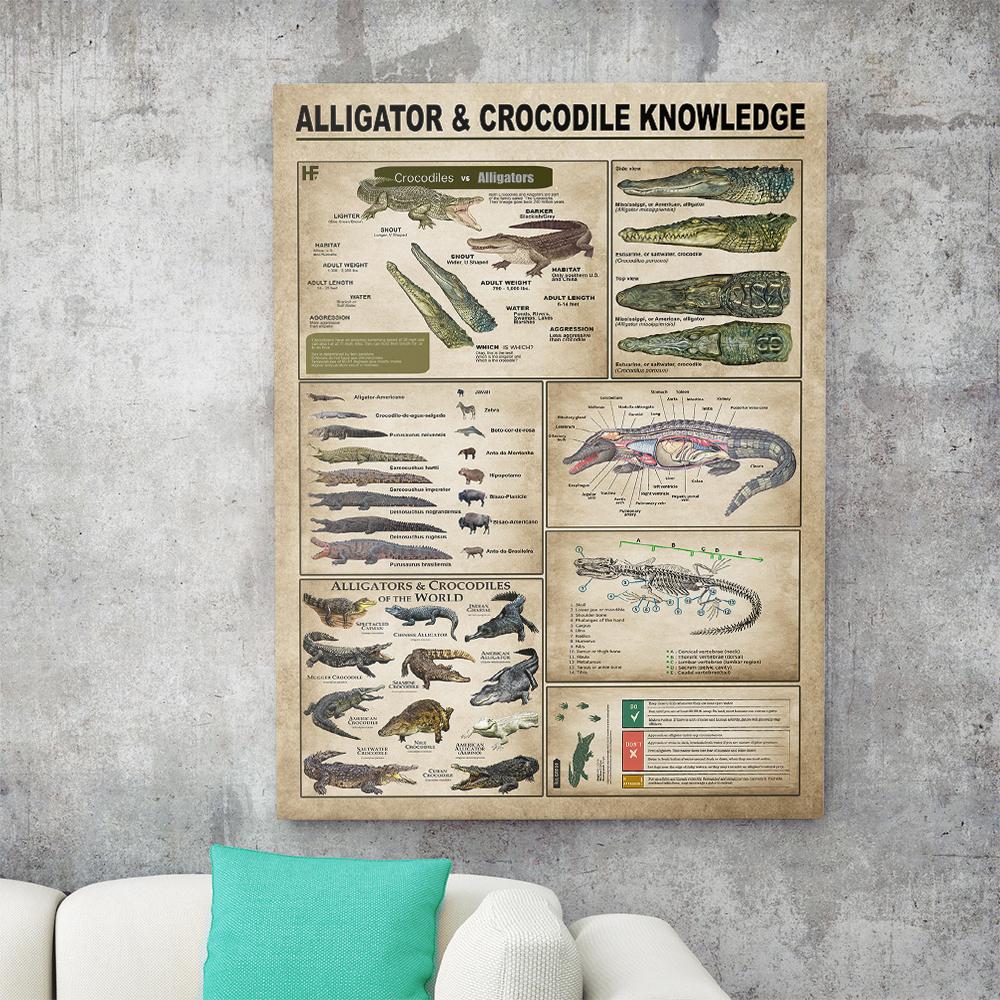 Alligators  Crocodiles Knowledge Canvas, Poster