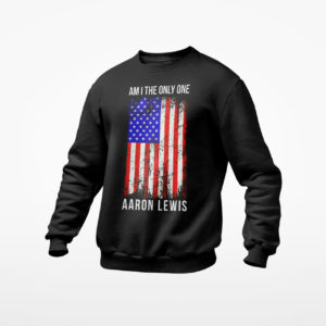 Aaron Lewis am I the only one shirt, Ls, Hoodie