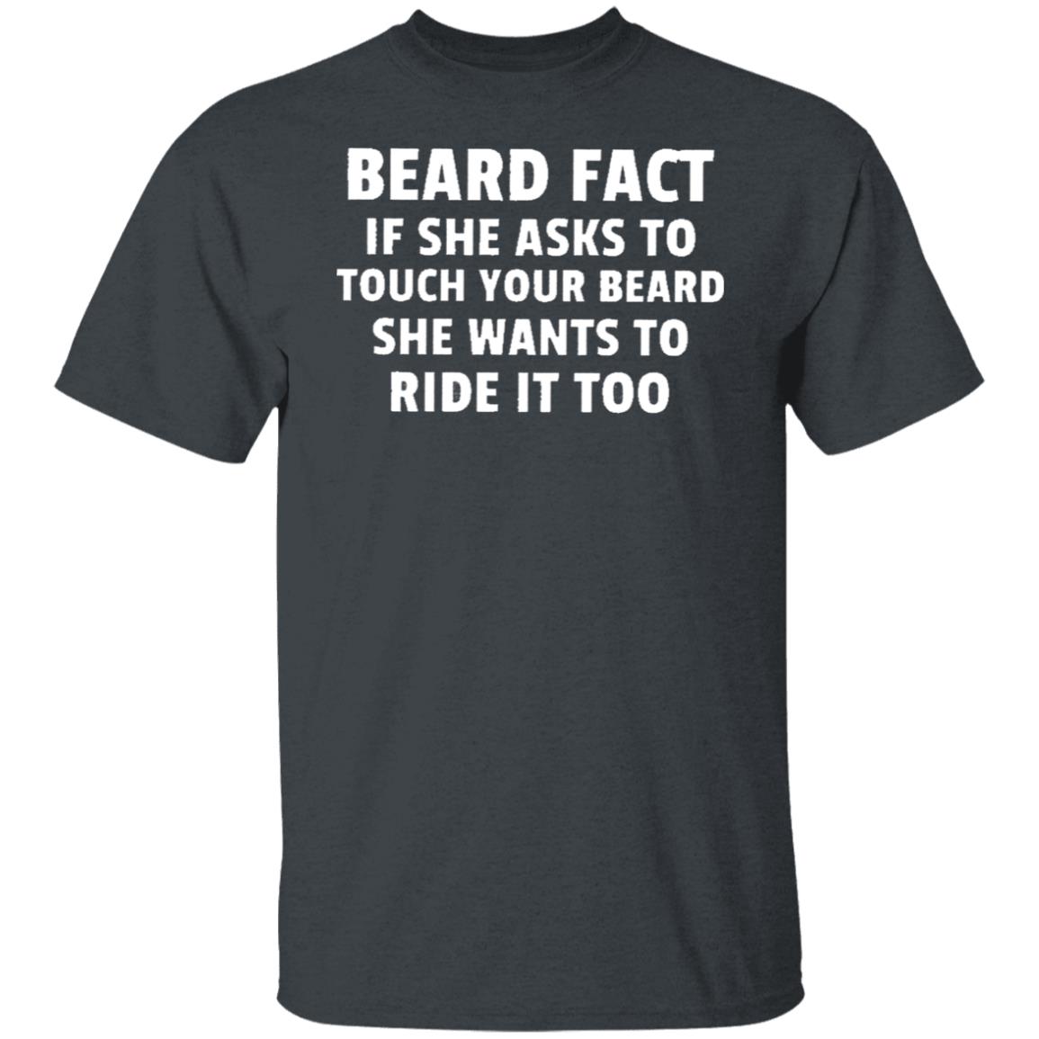 Beard fact if she asks to touch your beard she wants to ride it too T-shirt, hoodie
