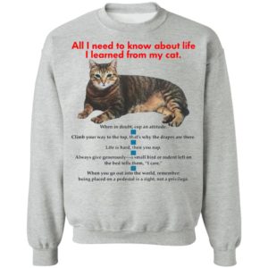All I Need To Know About Life I Learned From My Cat Shirt, Hoodie