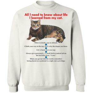 All I Need To Know About Life I Learned From My Cat Shirt, Hoodie