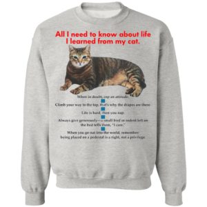 All I Need To Know About Life I Learned From My Cat Shirt, Hoodie