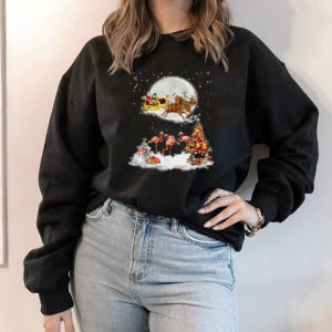 Hoodie Santa Riding Reindeer Flamingo Christmas T Shirt