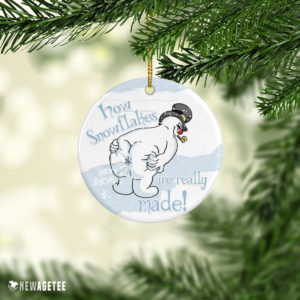 How Snowflakes Are Really Made Funny Snowman Ornament Snowflake Maker Christmas Decorations