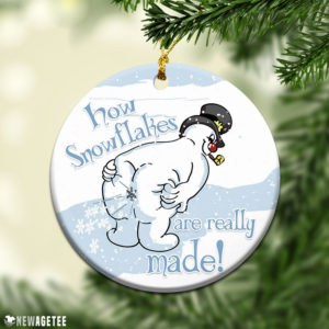 How Snowflakes Are Really Made Funny Snowman Ornament Snowflake Maker Christmas Decorations
