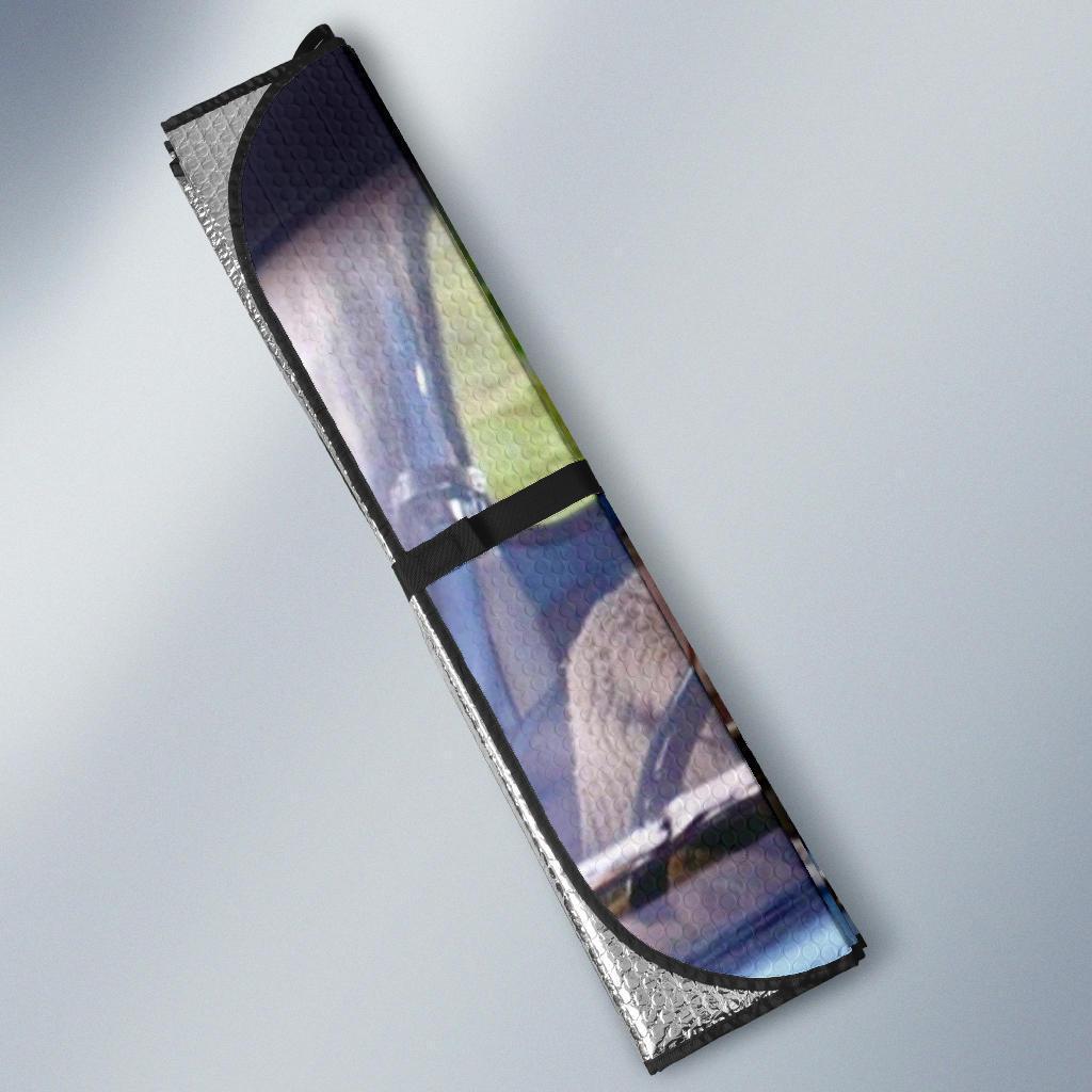 Harry Potter Car Auto Sunshade