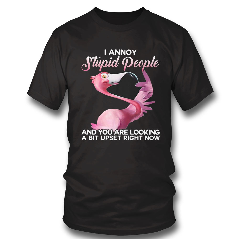 Flamingo I Annoy Stupid People And You Are Looking A Bit Upset Right Now Shirt Longsleeve, Ladies Tee